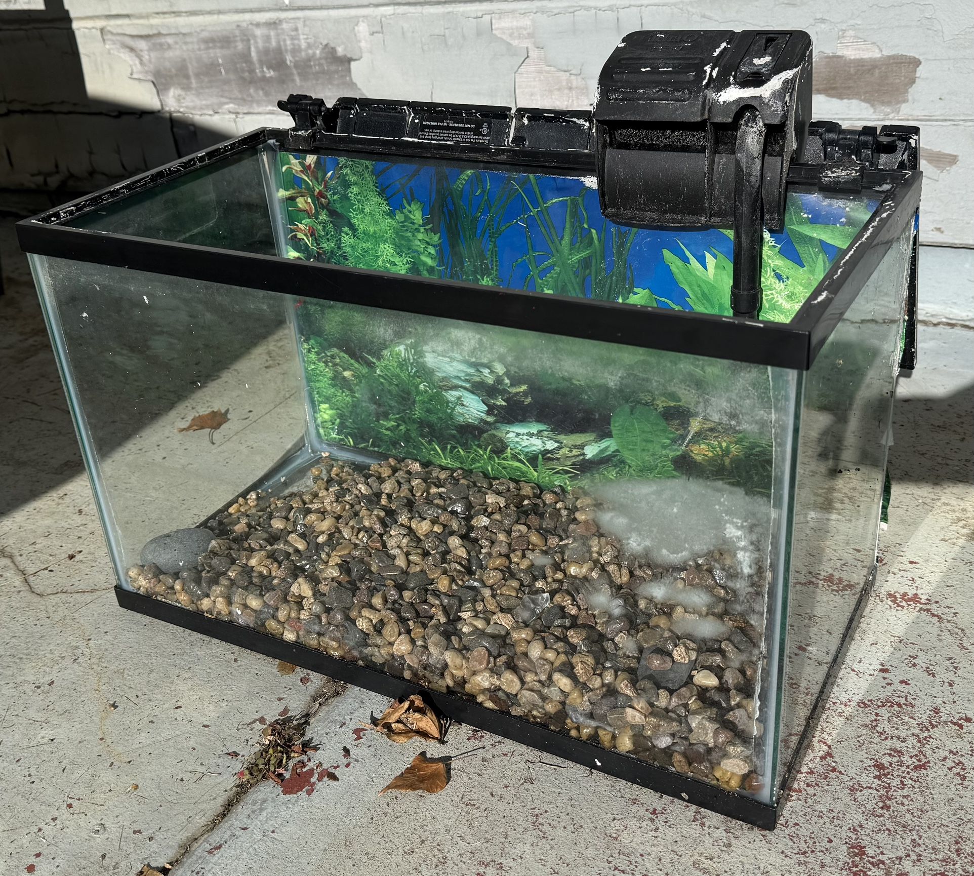 10 Gallon Fish Tank With Hood And Filter