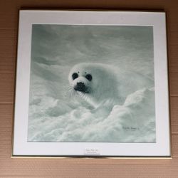 TBaby Harp Seal Wildlife Art Print Charles Frace