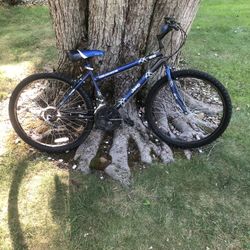 26” Mountain Bike (jeep)