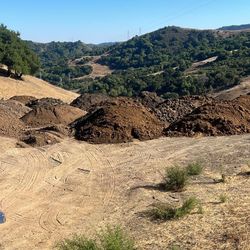 Dirt Clean Free