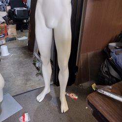 Mannequin Lower Torso Male Super Sale