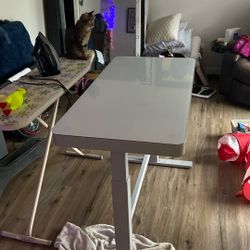 Standing Electric Table