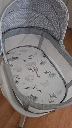 Bassinet