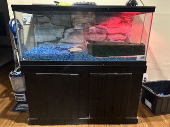 75 Gallon tank with Stand