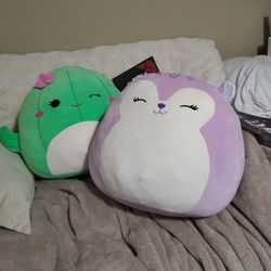 2 Squishmellows 