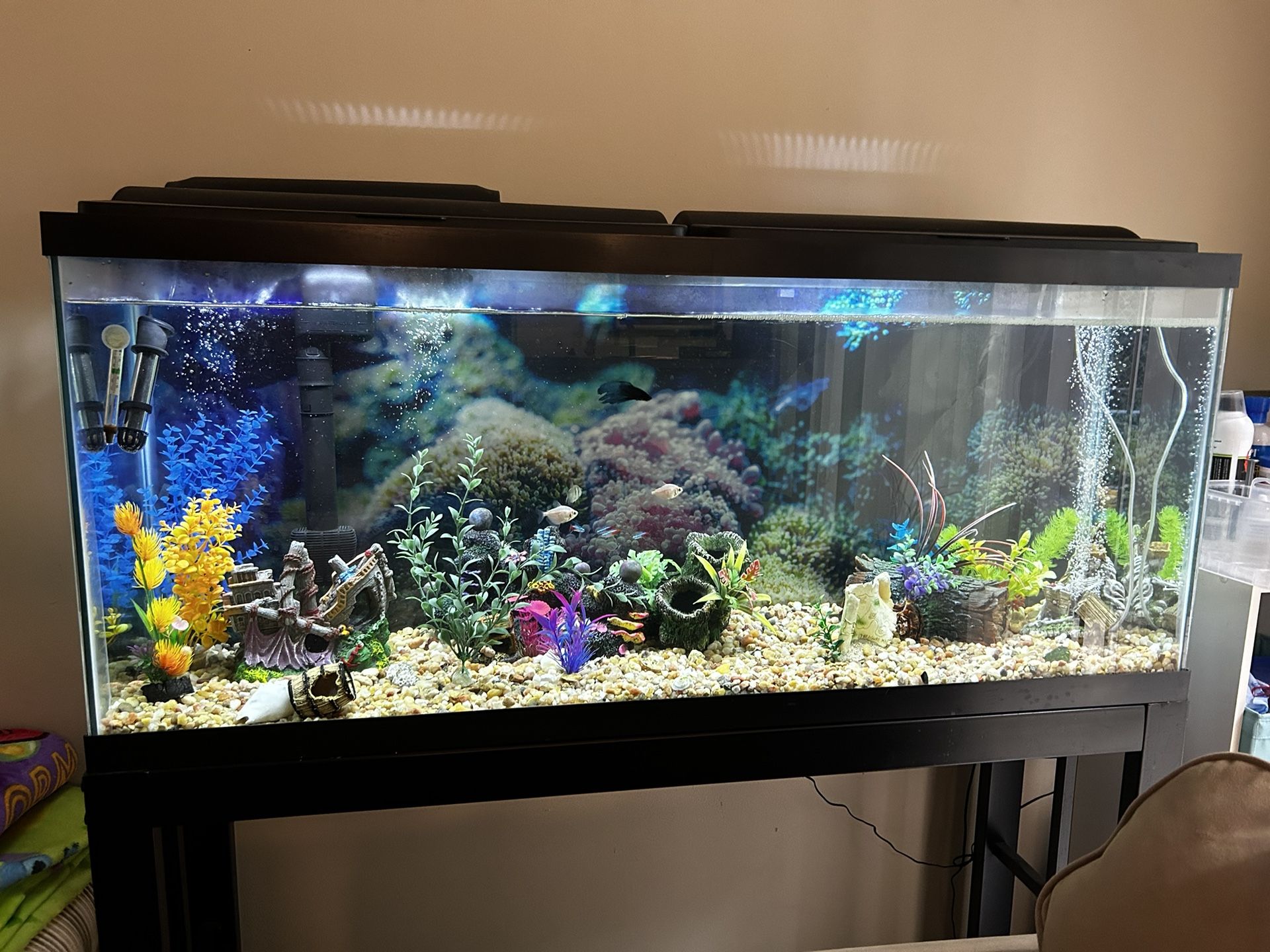 50 Gallon Fish Tank With Pump And Decor 