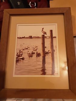 Pelican photo by Vern Davis