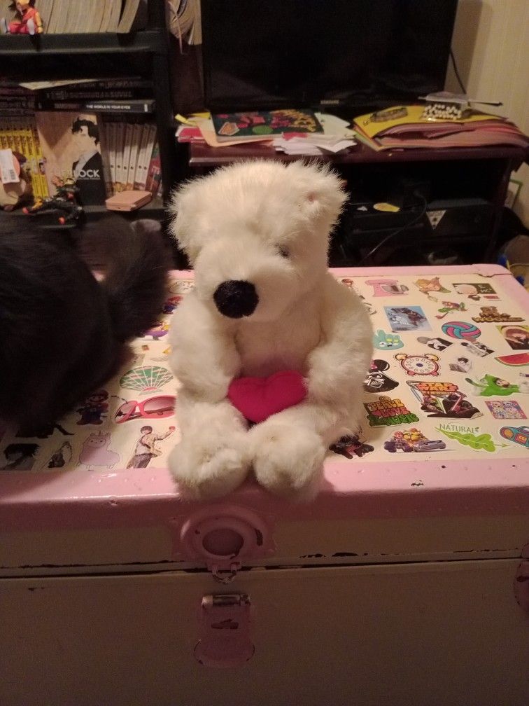 Giant Beanie Babies Bears 15 Dollars Each!