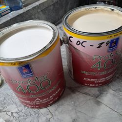 $45 Sherwin Williams Flat Paint 2 Gallon 