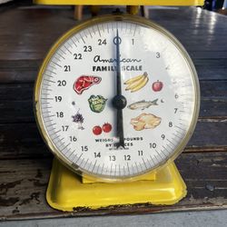Vintage American family Kitchen  Scale