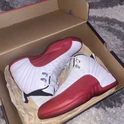 Jordan Cherry 12s 