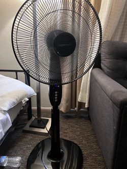 Amazon Basics Oscillating Standing Pedestal Fan