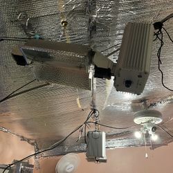 Gavita Pro Grow Light