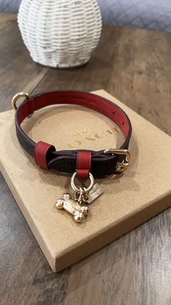 Coach Dog Collar