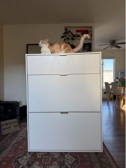 Modern White Tilt-Out Shoe Cabinet with Small Cubby & Brass Hardware