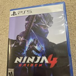 Ninja Gaiden 4 PS5