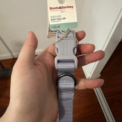 Medium Dog Collar 