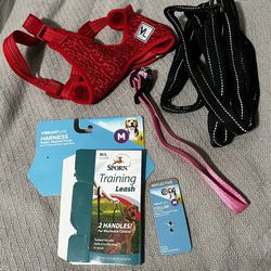 Dog Harness, Collar & Leash L