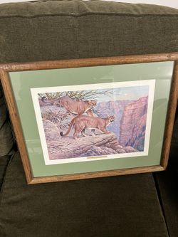 Vintage “MOUNTAIN LION” By M. Kiefer Print in Great Condition 