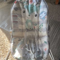 Baby Bouncer 