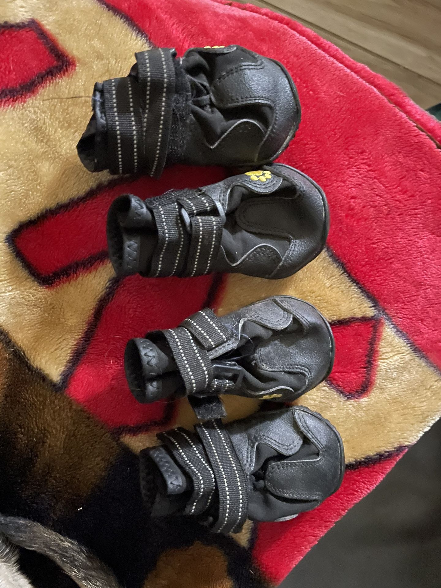 Dog Shoes