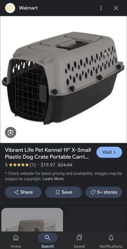 Pet Accessories
