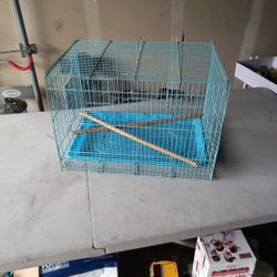 Bird Cage