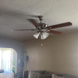 Ceiling fan