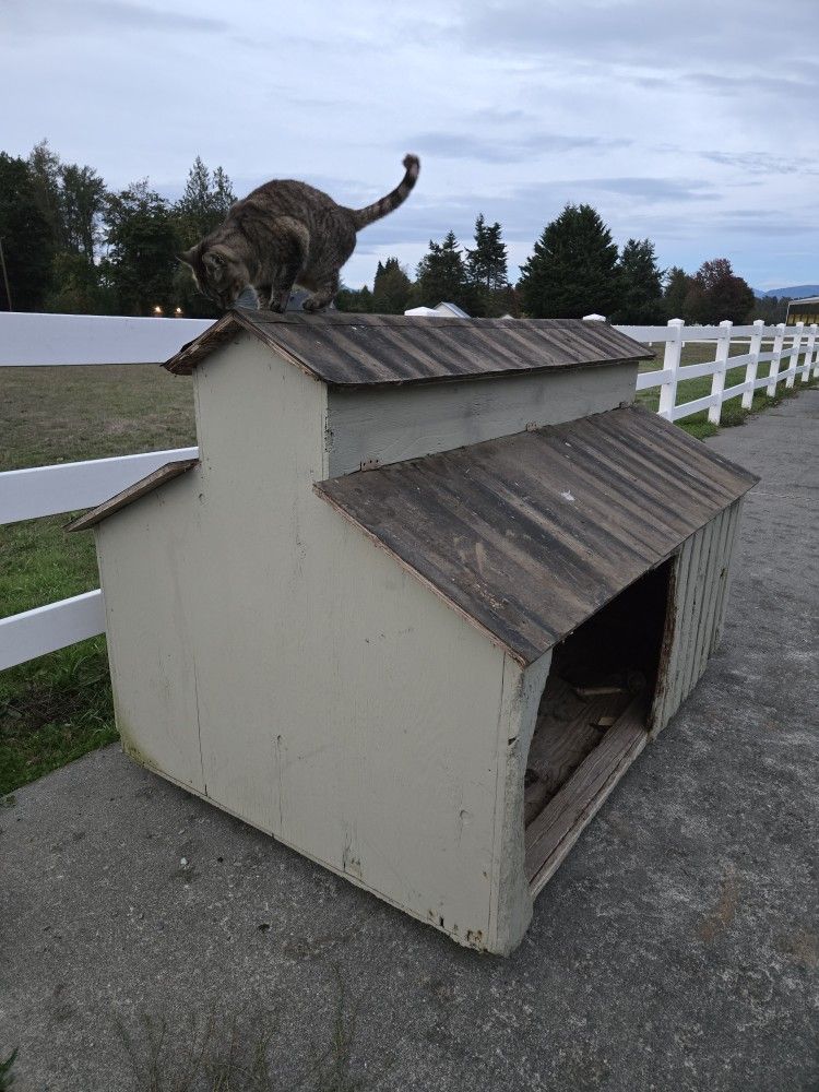 XL Dog House / Chicken Coop