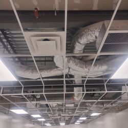 Acoustic Ceiling 