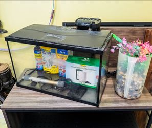 10 Gallon Fish Tank