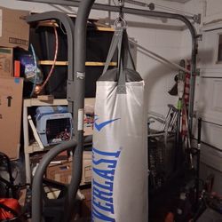 Everlast Heavy Punching Bag, Stand , Gloves And Raps ($150)