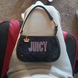 Juicy Hand Bag