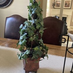 Spiral topiary