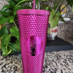 Starbucks Berry Metallic (Chrome) 2022 Christmas 24oz Tumbler