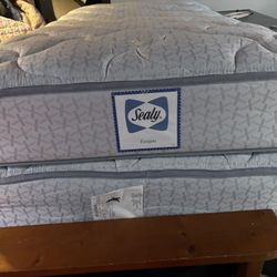 Twin Mattresses Sealy 