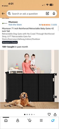 Retractable Gate