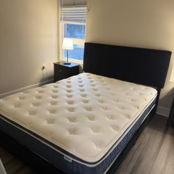 Queen Bed – Complete Set (Mattress + Box Spring + Headboard)