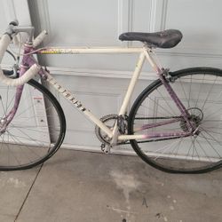 Centurion Master Ironman Dave Scott Racing Bike 