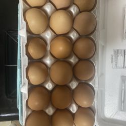 Farm Fresh Eggs