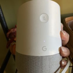 Google Home White