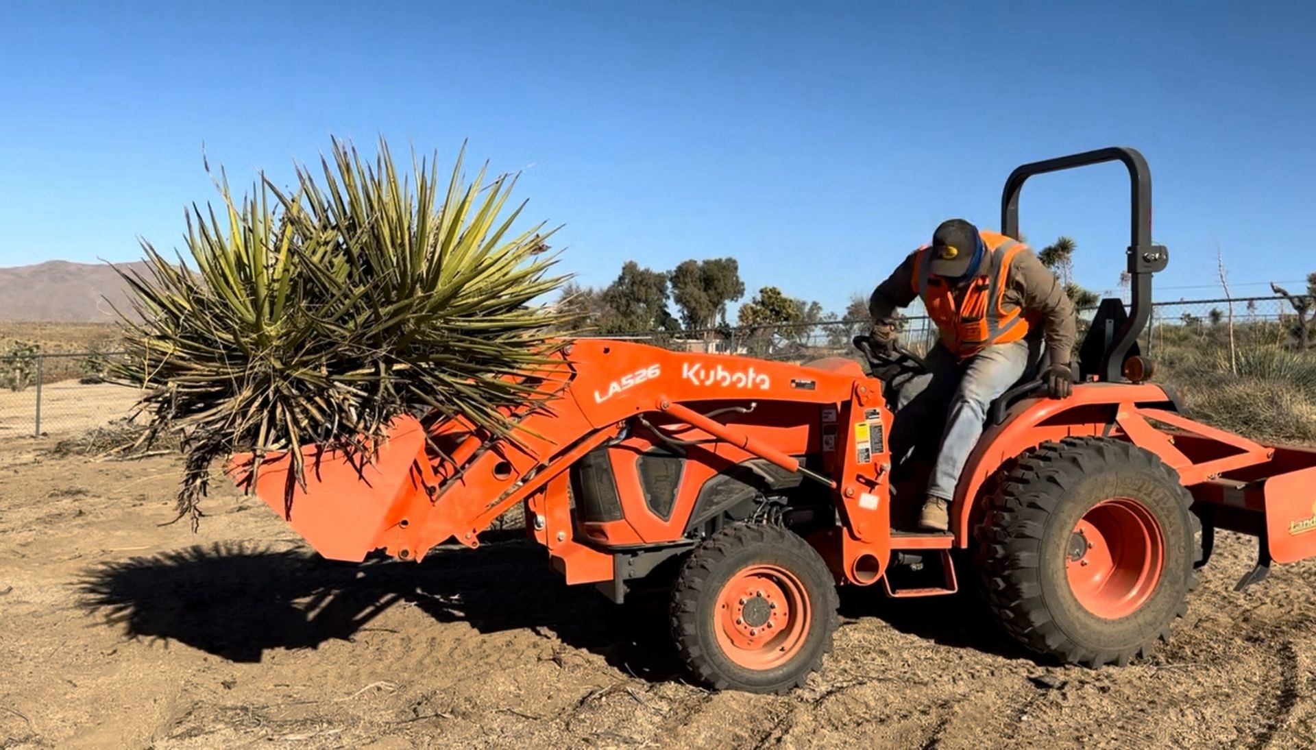 Tractor Work - Weed Scraping - Bush Hogging