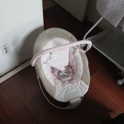Baby Ingenuity 