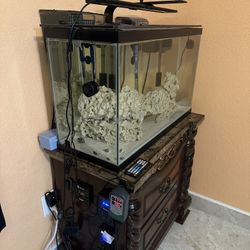 Fish Tank 