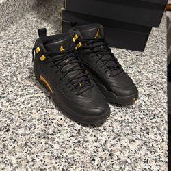 Jordan 12