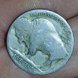 Buffalo Nickel 