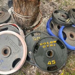 Good Deal On Weights And Bars. 