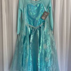 Frozen/Elsa Dress