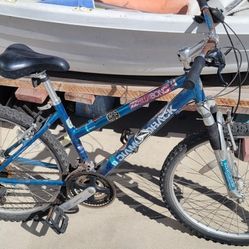 Diamondback Mountain Bike