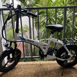 Electric Bicycle 